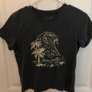 Amuse Society Crop Top